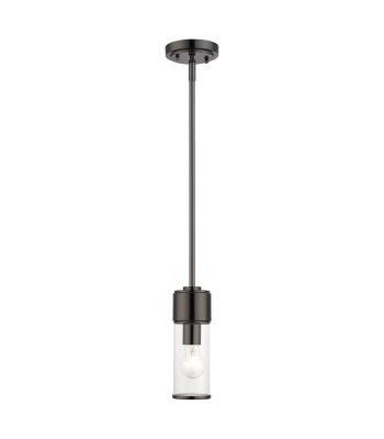 Livex Quincy Mini Pendant 17140-46