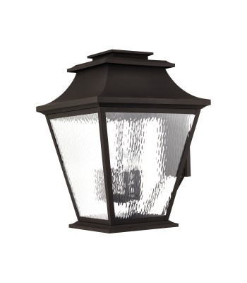 Livex Hathaway Outdoor Wall Lantern 20251-07