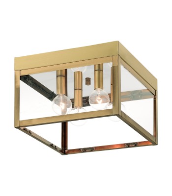 Livex Nyack Outdoor Flush Mount 20589-01