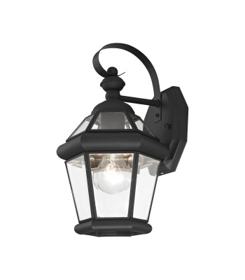 Livex Georgetown Outdoor Wall Lantern 2061-04