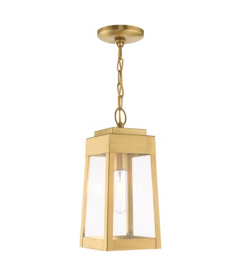 Livex Oslo Outdoor Pendant Lantern 20854-12