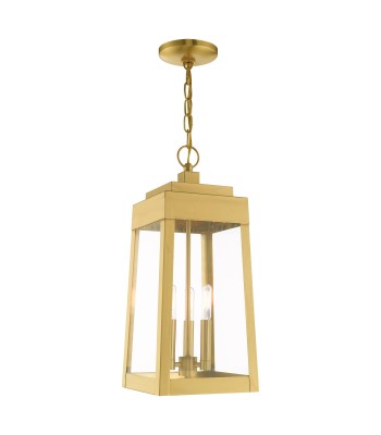 Livex Oslo Outdoor Pendant Lantern 20857-12