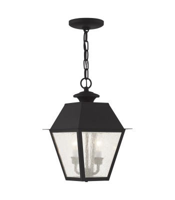Livex Mansfield Outdoor Pendant Lantern  2167-04