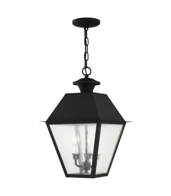 Livex Mansfield Outdoor Pendant Lantern  2170-04