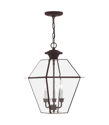 Livex Westover Outdoor Pendant Lantern  2385-07