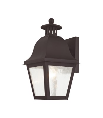 Livex Amwell Outdoor Wall Lantern 2550-07