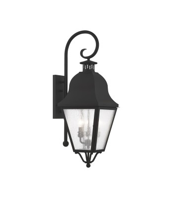 Livex Amwell Outdoor Wall Lantern 2555-04