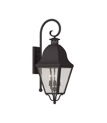 Livex Amwell Outdoor Wall Lantern 2555-07