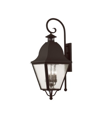 Livex Amwell Outdoor Wall Lantern 2558-07