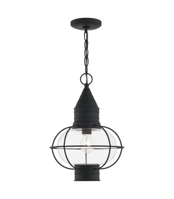 Livex Newburyport Outdoor Pendant Lantern  26906-04