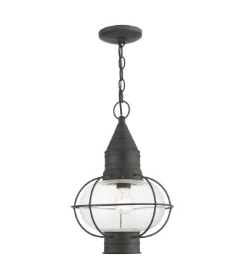 Livex Newburyport Outdoor Pendant Lantern  26906-61