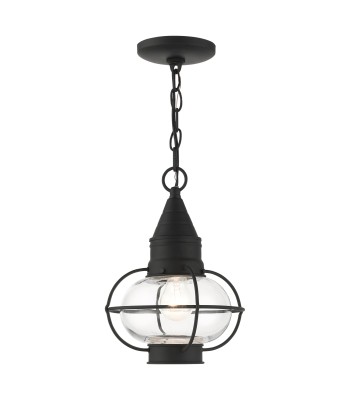 Livex Newburyport Outdoor Pendant Lantern 26910-04