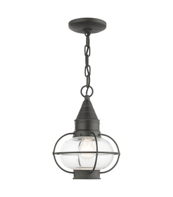 Livex Newburyport Outdoor Pendant Lantern 26910-61