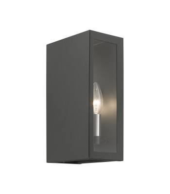 Livex Winfield Outdoor ADA Wall Sconce 29122-14
