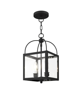 Livex Milford Mini Pendant/Semi-Flush 4041-04
