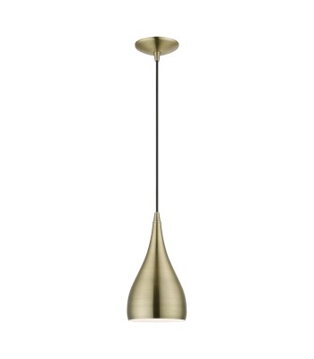 Livex Amador Ceiling Pendant 40981-01
