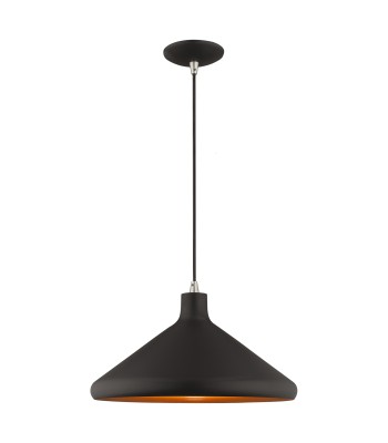 Livex Geneva Ceiling Pendant 41179-04