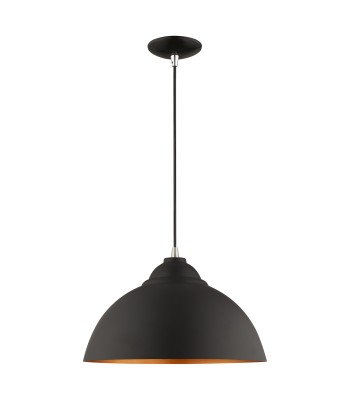 Livex Piedmont Ceiling Pendant 41180-04