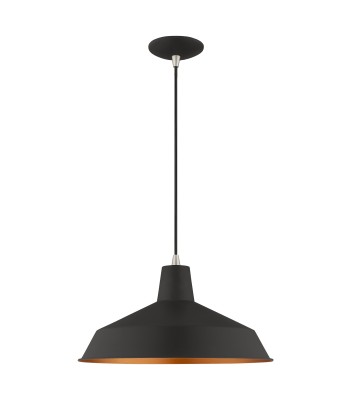 Livex Metal Shade Mini Pendant 41183-04