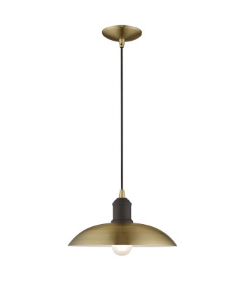 Livex Metal Shade Mini Pendant 41193-01