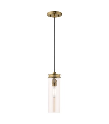 Livex Devoe Mini Pendant 41227-01