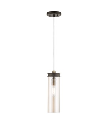 Livex Devoe Mini Pendant 41227-07