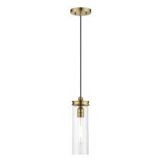 Livex Devoe Mini Pendant 41236-01