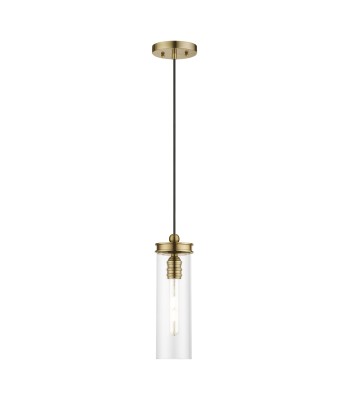 Livex Devoe Mini Pendant 41236-01