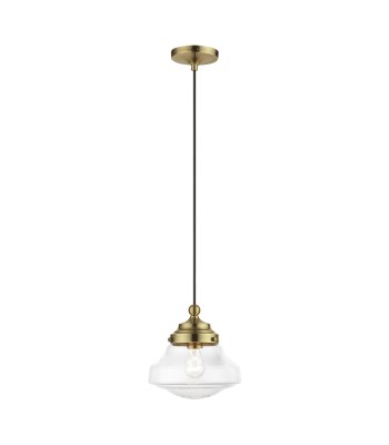 Livex Avondale Mini Pendant 41293-01