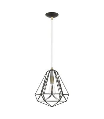 Livex Knox Ceiling Pendant 41324-14