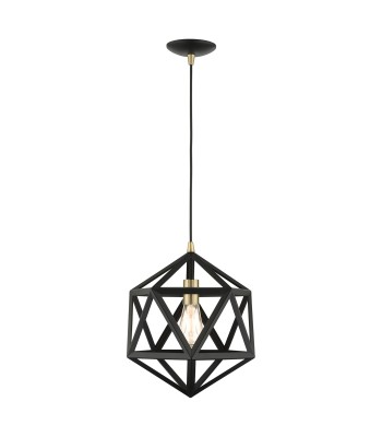 Livex Ashland Ceiling Pendant 41328-14