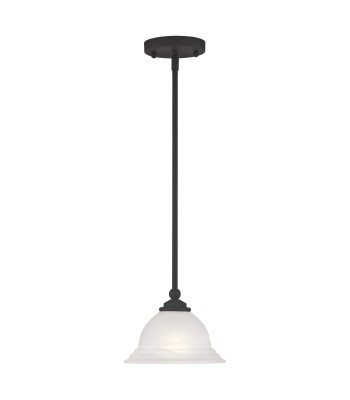 Livex North Port Mini Pendant 4256-04