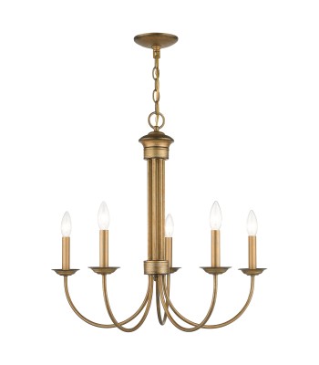 Livex Estate Chandelier 42685-48