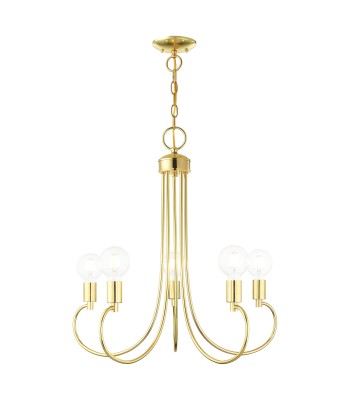 Livex Bari Chandelier 42925-02