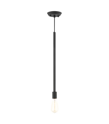 Livex Prague Ceiling Pendant 45831-04