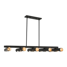 Livex Novato Chandelier 45898-04