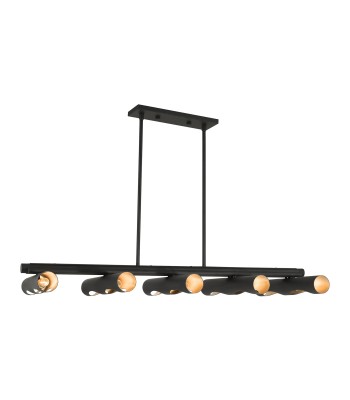 Livex Novato Chandelier 45898-04