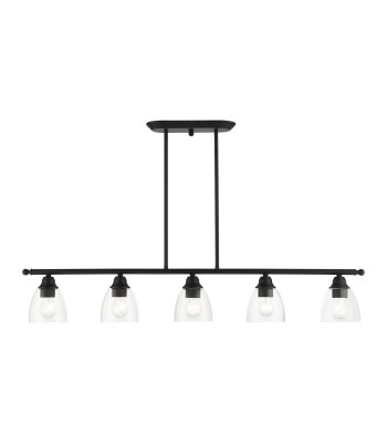 Livex Montgomery Chandelier 46338-04