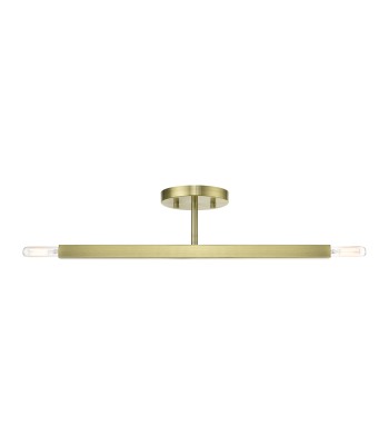 Livex Monaco Semi-Flush 46842-01