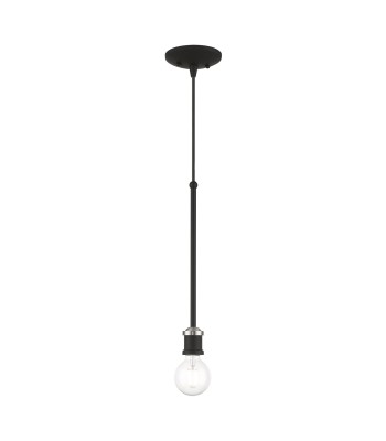 Livex Lansdale Ceiling Pendant 47161-04
