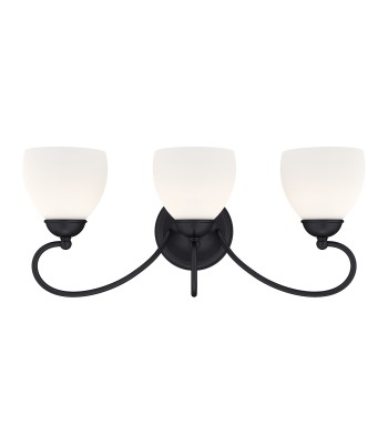 Livex Brookside Bath Light 4753-04