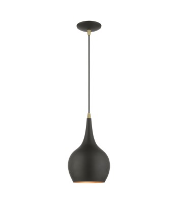 Livex Andes Ceiling Pendant 49016-04