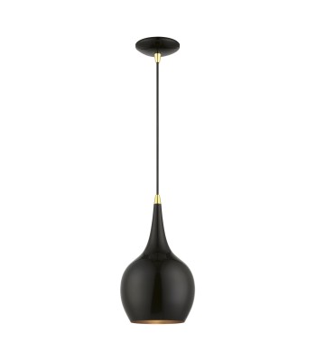 Livex Andes Ceiling Pendant 49016-68