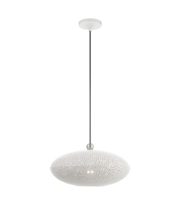 Livex Dublin Ceiling Pendant 49102-03
