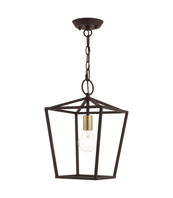 Livex Devone Convertible Pendant/Semi-Flush 49432-07