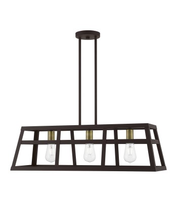Livex Schofield Chandelier 49563-07
