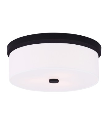 Livex Meridian Flush Mount 50864-07