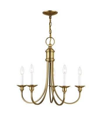Livex Cranford Chandelier 5145-01
