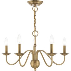 Livex Windsor Chandelier 52165-01