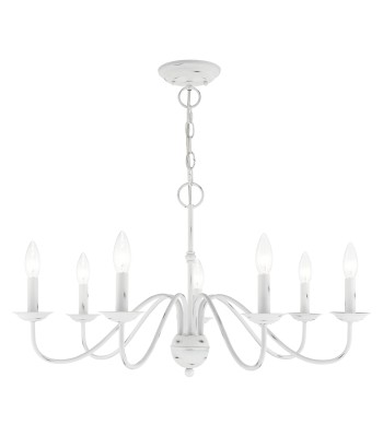 Livex Windsor Chandelier 52167-60